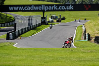 Lower Group Red Bikes